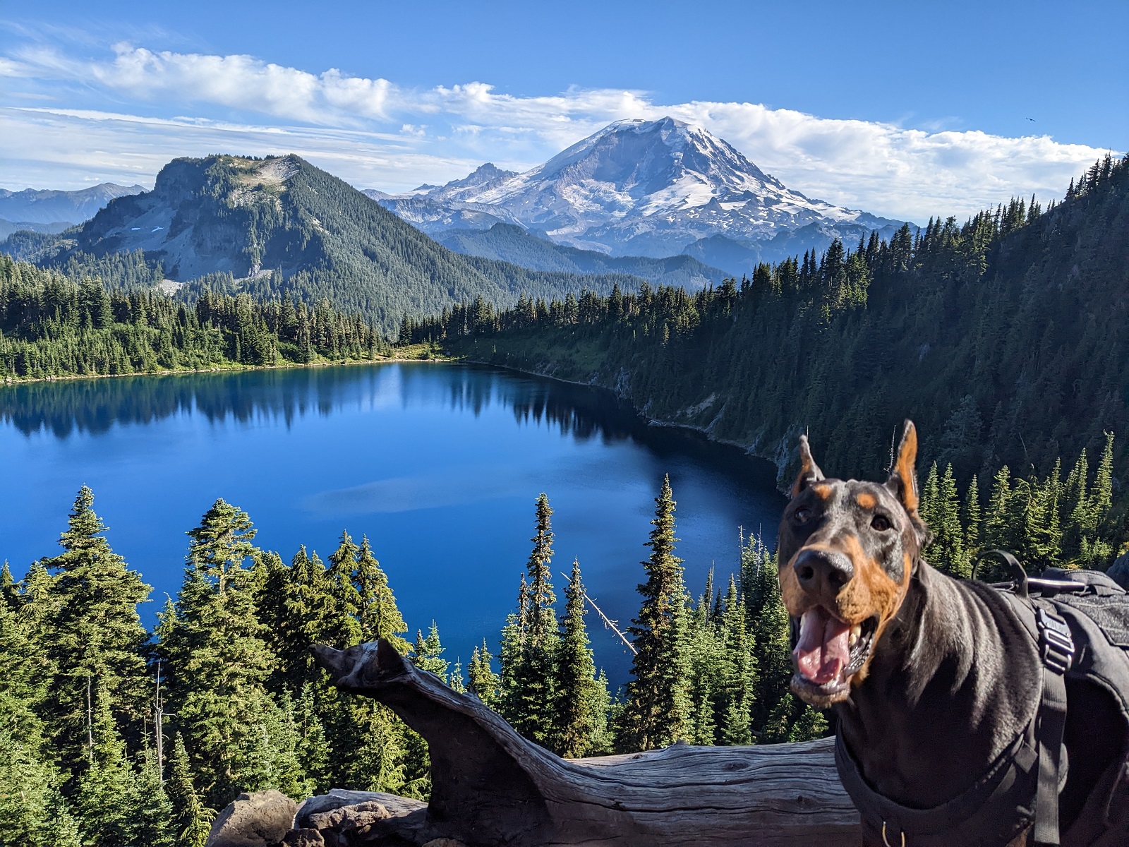 Kobe - Mt Rainier